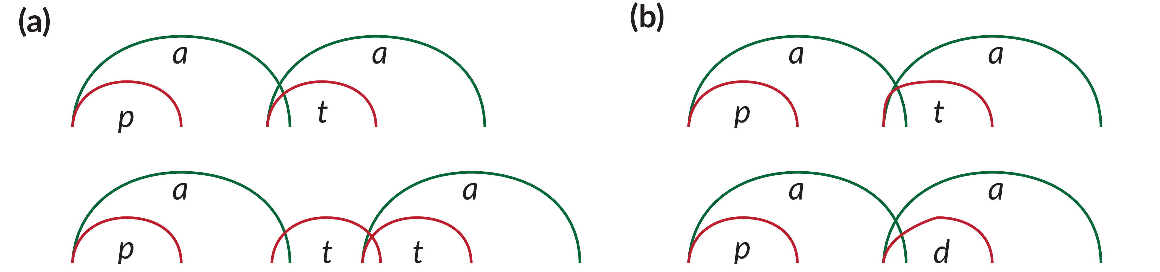Schematics of the gestural phasing of vocalic and consonantal gestures in four different contexts. (a) shows singleton vs geminate stops, while in (b) voiceless and voiced stops are contrasted. Note that in (a) the distance between the vowels increases in the geminate context, while it is stable in (b). The different slopes of the closing part of the gesture in /t/ vs /d/ accounts for the difference in acoustic closure onset.